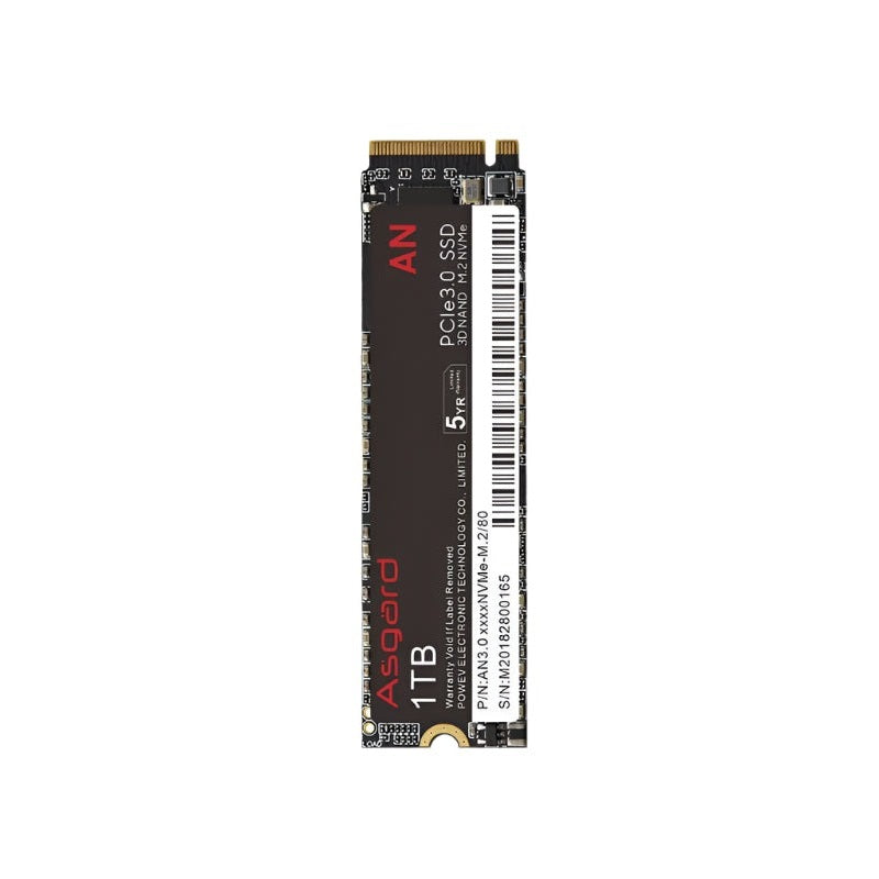 Asgard 2280 M.2 PCIe 3.0 NVMe SSD